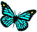 Butterfly logo